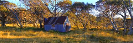 CRB Hut - Dinner Plain - VIC (PBH4 00 14032)